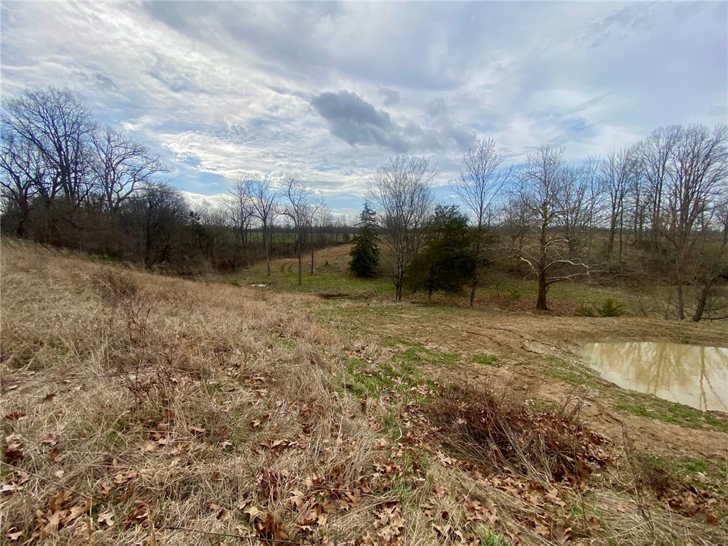 77 Wildcat Road Winchester, OH 45697 - Photo 5 of 19 Expansive acreage with mature trees and a serene pond.