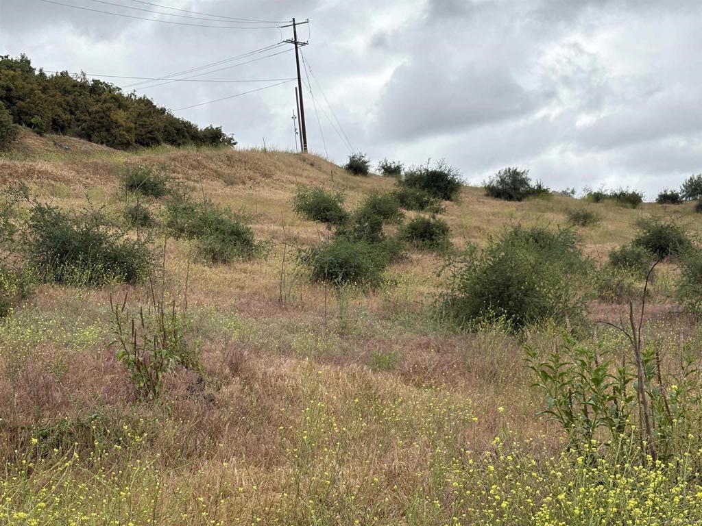 0 Santa Virginia Drive Valley Center, CA 92082 - Photo 11 of 32