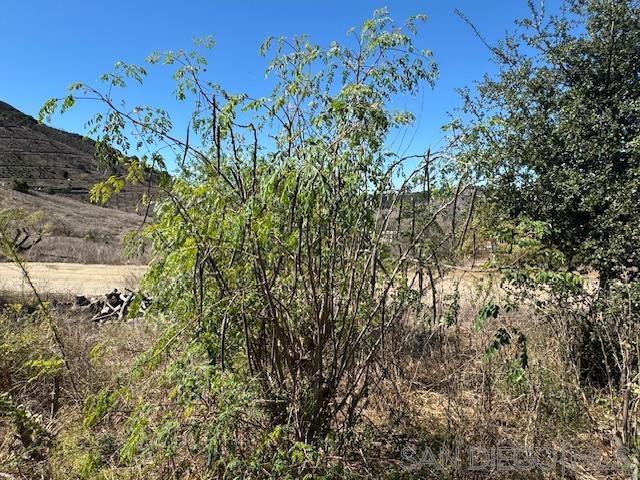 0 Santa Virginia Drive Valley Center, CA 92082 - Photo 18 of 32