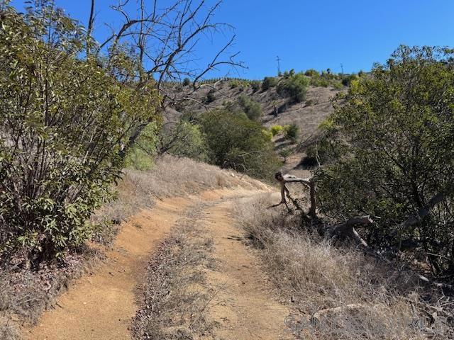 0 Santa Virginia Drive Valley Center, CA 92082 - Photo 23 of 32