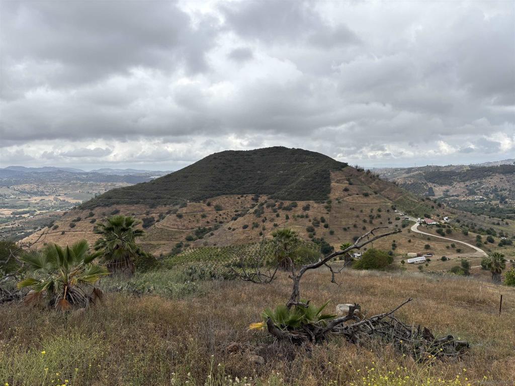 0 Santa Virginia Drive Valley Center, CA 92082 - Photo 3 of 32