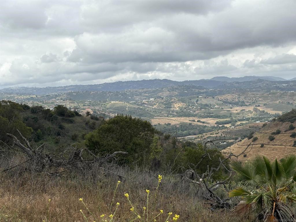 0 Santa Virginia Drive Valley Center, CA 92082 - Photo 5 of 32