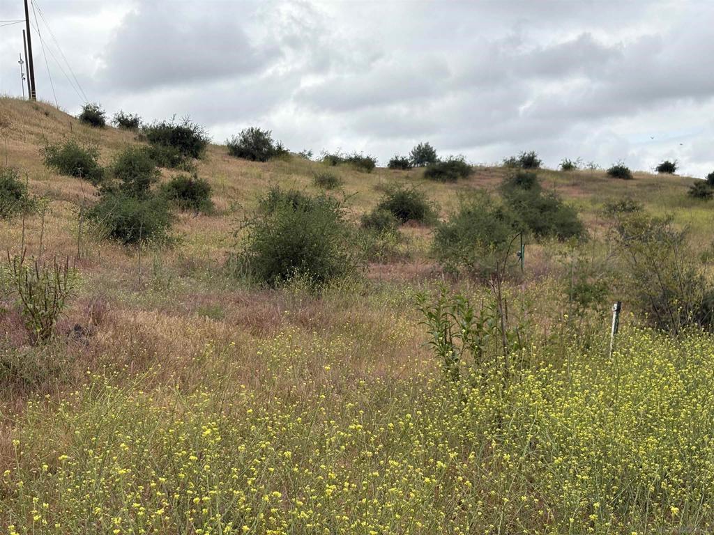 0 Santa Virginia Drive Valley Center, CA 92082 - Photo 9 of 32