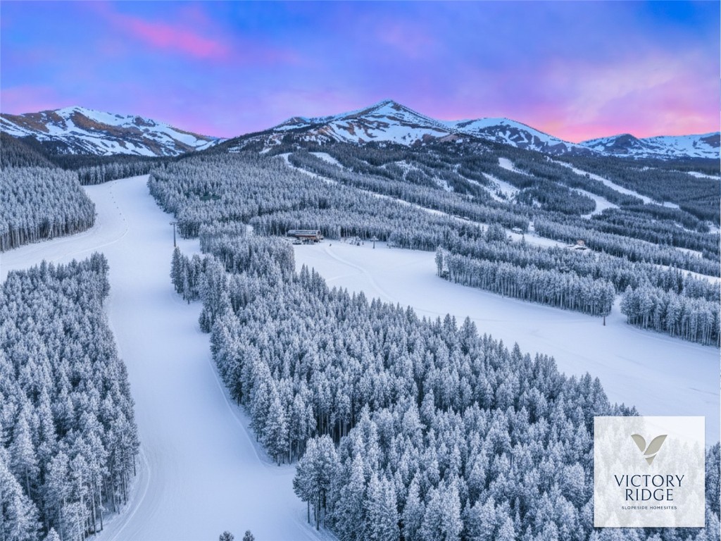 7 Legacy Way Breckenridge, CO 80424 - Photo 12 of 12 a view of a backyard with a mountain