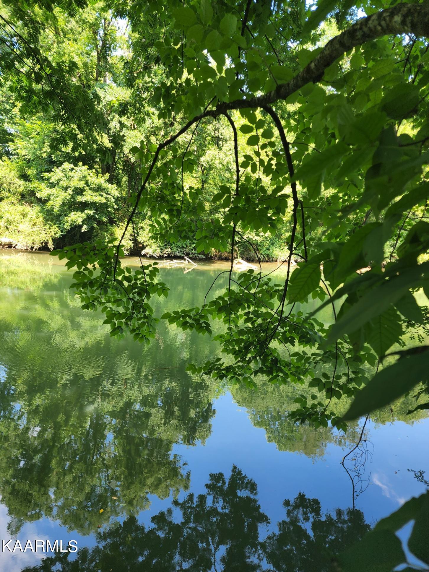 River from the property