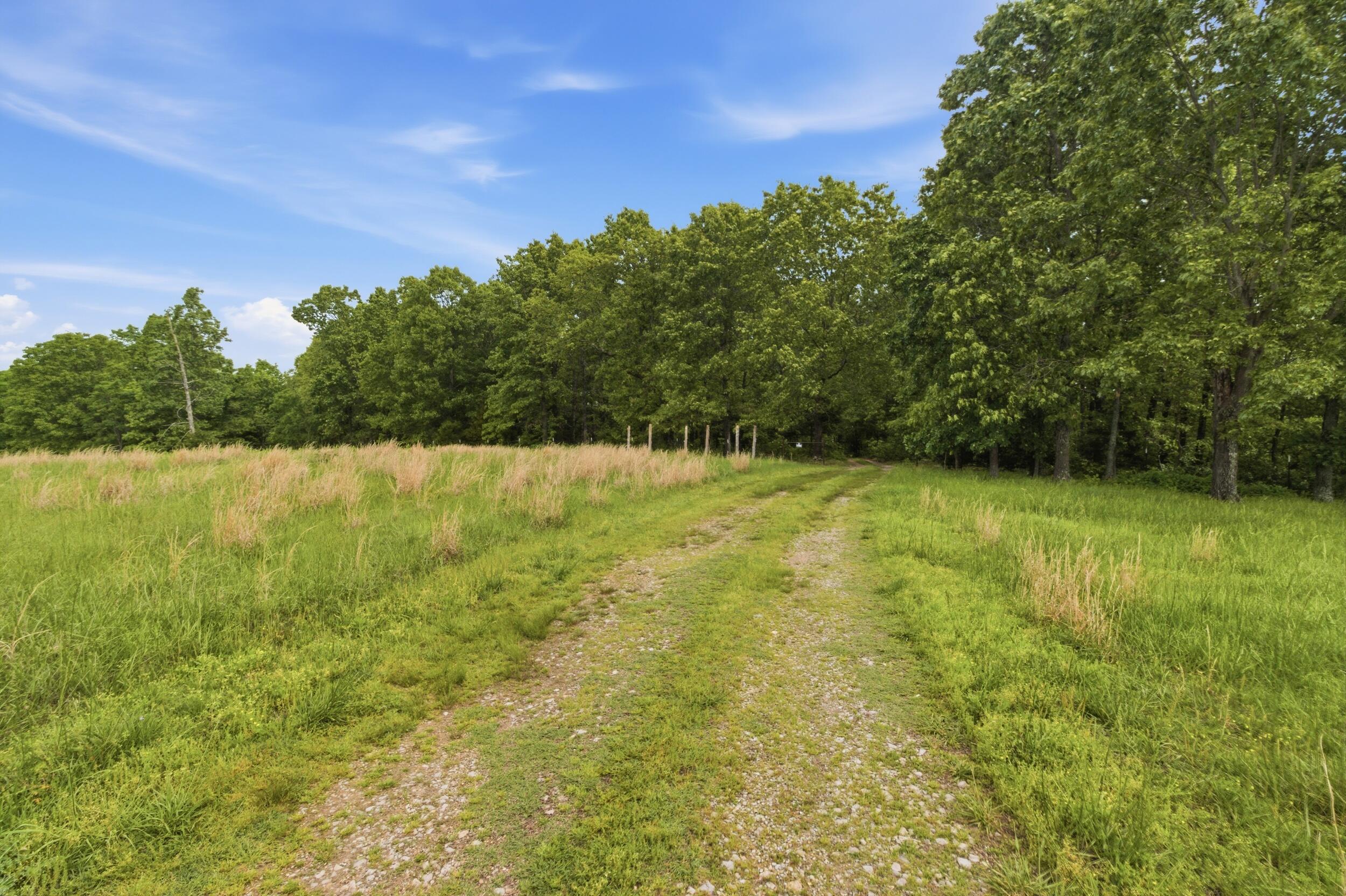 358 Co Road Caulfield, MO 65626 - Photo 57 of 74 img_0222
