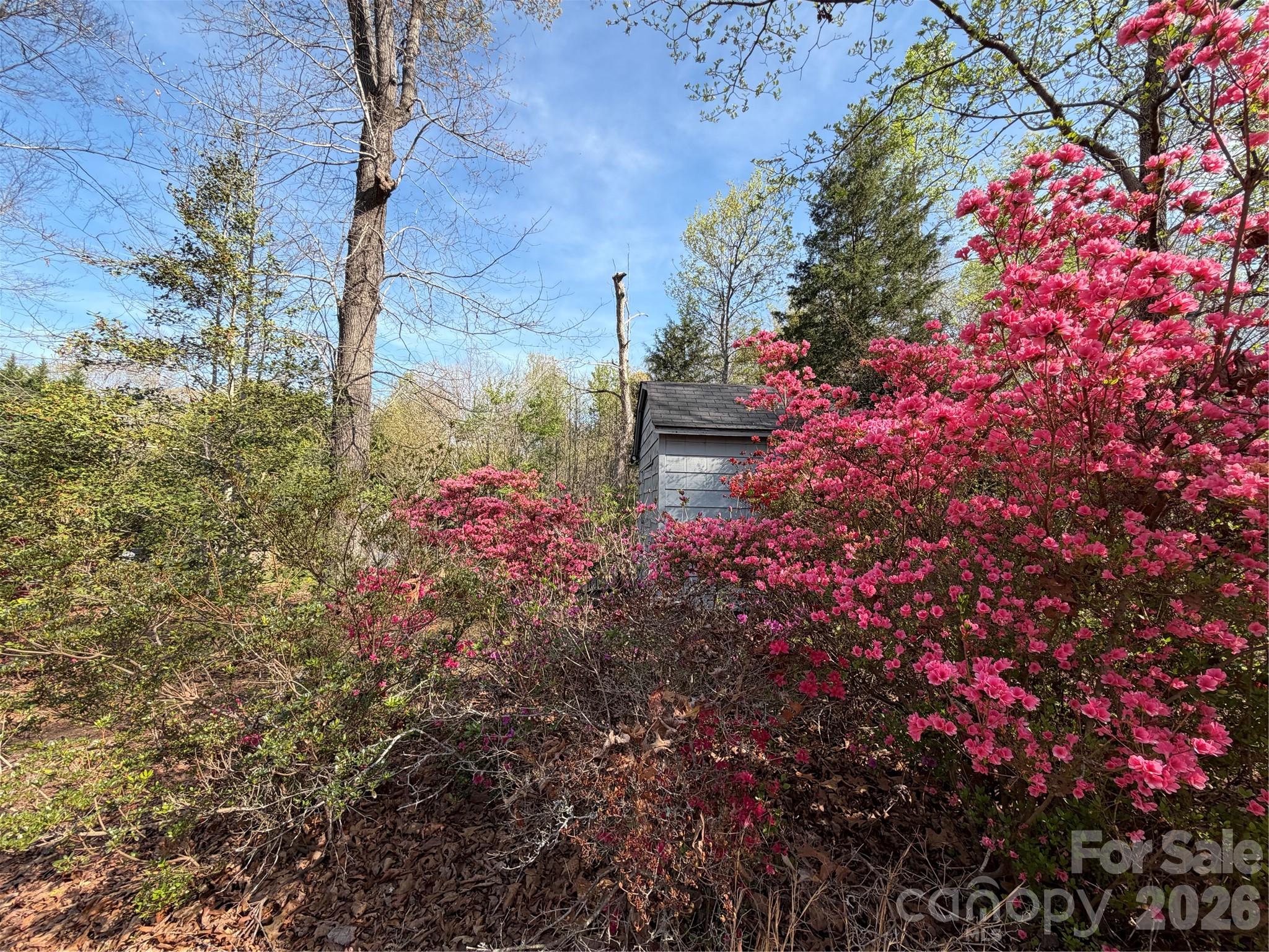 1270 Lilly Drive Clover, SC 29710 - Photo 33 of 36