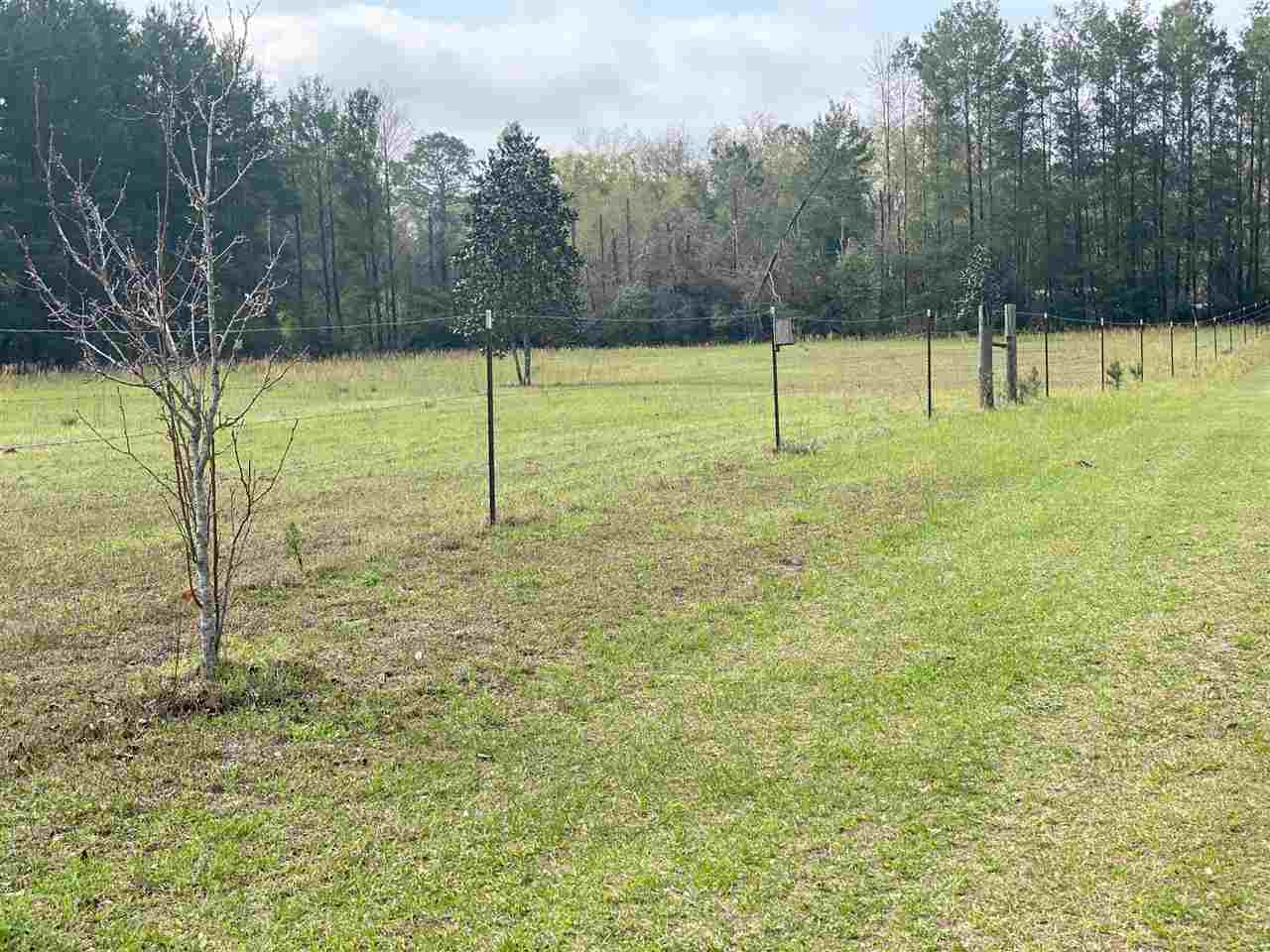3080 Slaughter Road Perry, FL 32347 - Photo 24 of 28