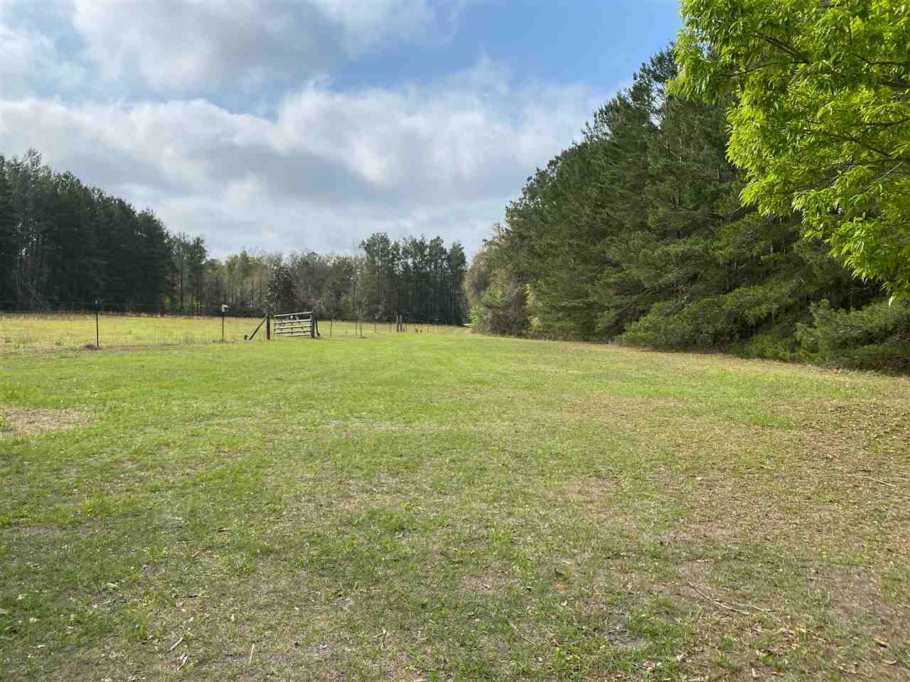 3080 Slaughter Road Perry, FL 32347 - Photo 4 of 28
