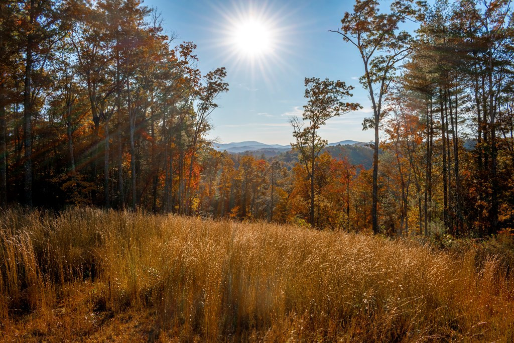 Tbd Martin Road Murphy, NC 28906 - Photo 2 of 50