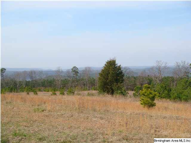 Pine Mountain Road, Unit 7 Springville, AL 35146 - Photo 4 of 11 Gallery Image 4