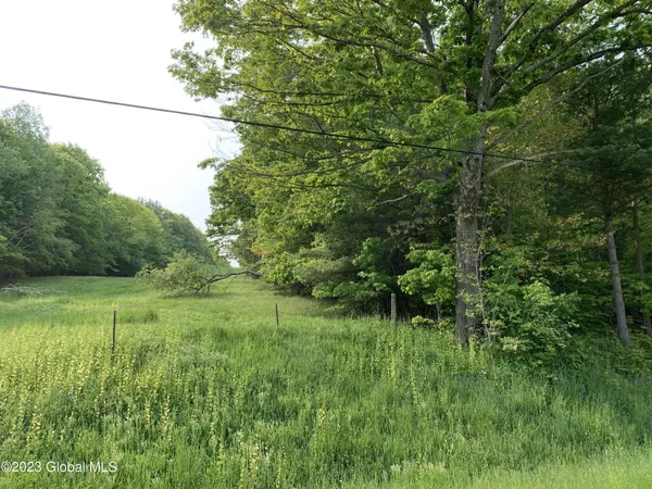 $45,000 | L4 County Rte 5, Canaan, NY 12029