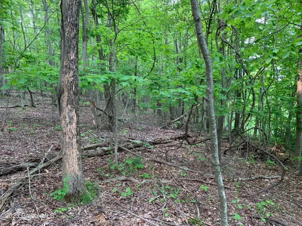 $45,000 | L4 County Rte 5, Canaan, NY 12029