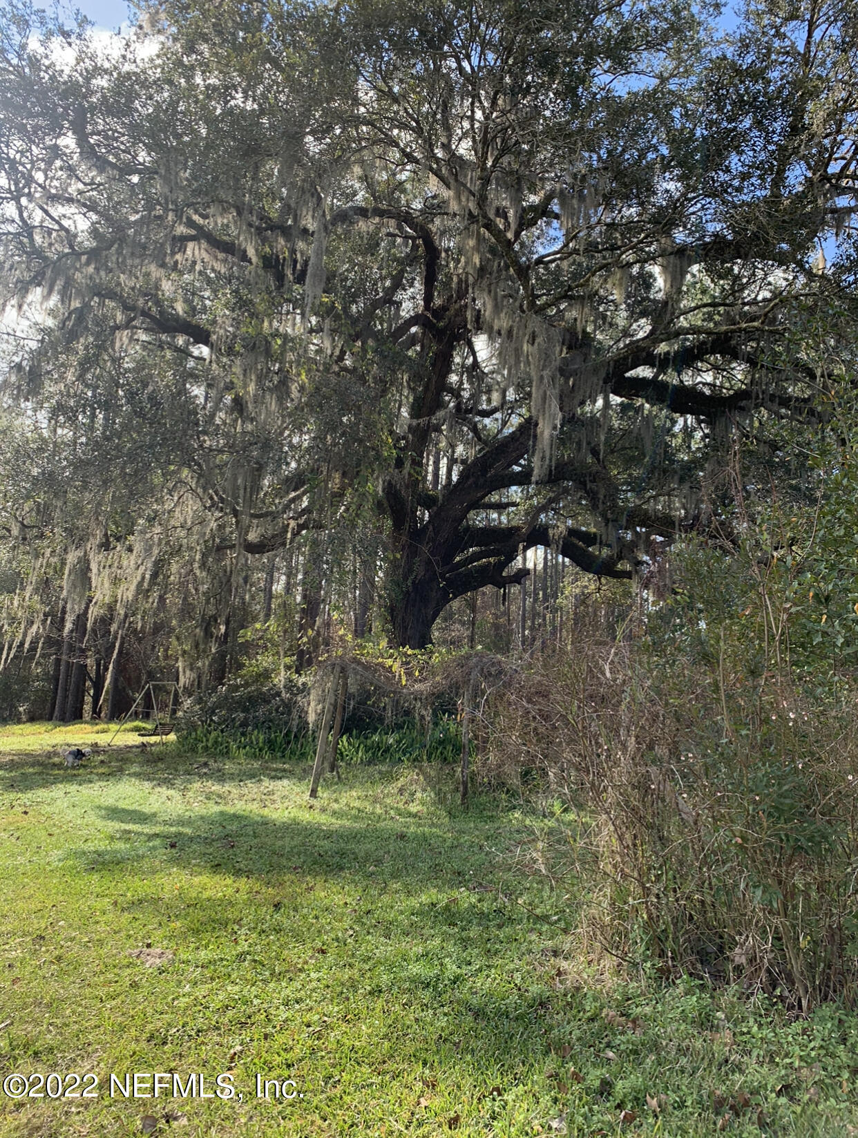 146 Old Hard Road Fleming Island, FL 32003 - Photo 12 of 17 MId Lot