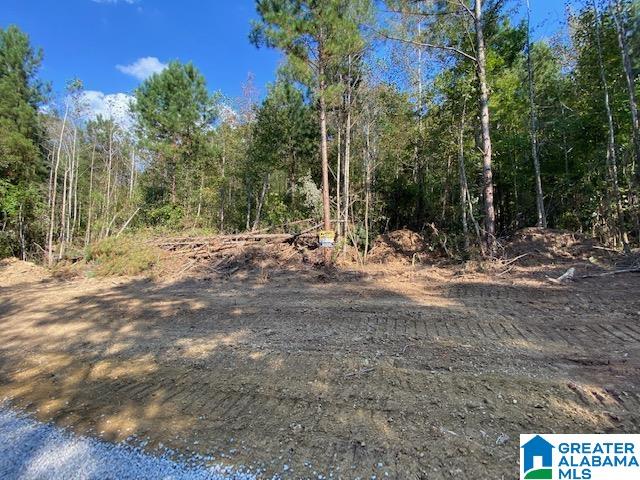 0 Maddox Farm Road, Unit OPTION 2 TRACT 2 Odenville, AL 35120 - Photo 3 of 7