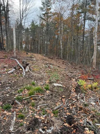 $230,000 | 207-002 Washington Street, Barrington, NH 03825