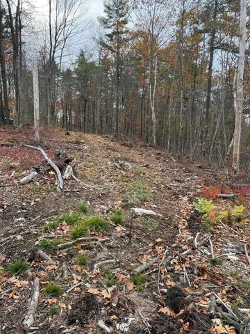 $230,000 | 207-002 Washington Street, Barrington, NH 03825