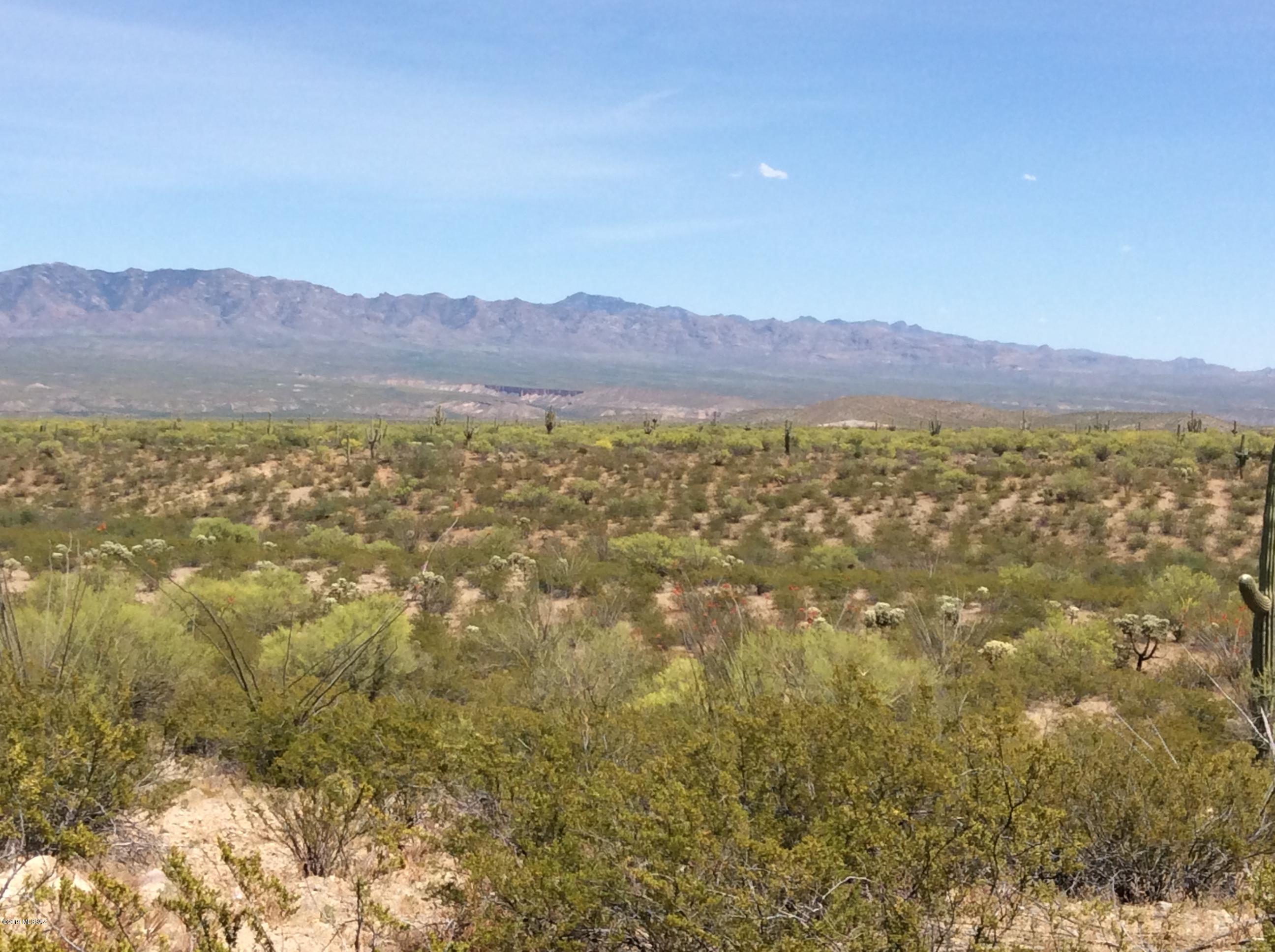 Peppersauce Mine Road San Manuel, AZ 85631 - Photo 21 of 33