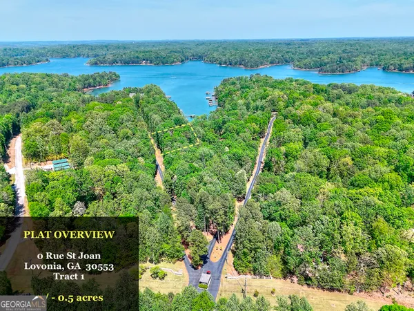 $79,000 | 0 Rue St Joan, Lavonia, GA 30553