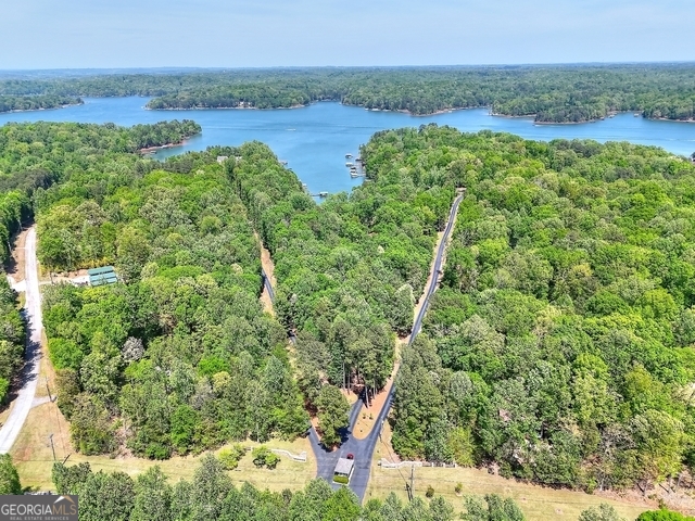 0 Rue St Joan Lavonia, GA 30553 - Photo 11 of 18