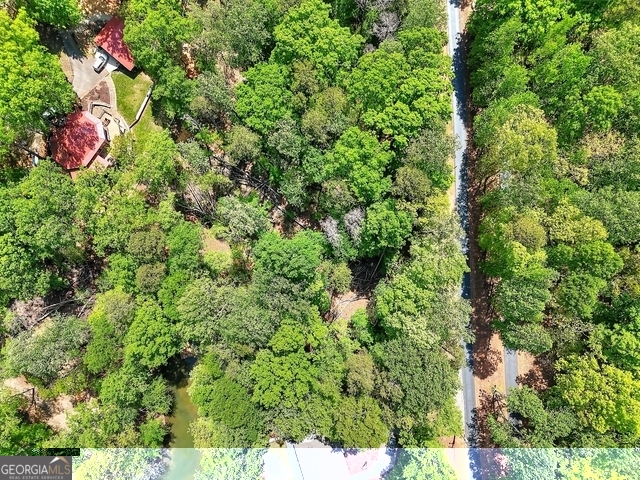 0 Rue St Joan Lavonia, GA 30553 - Photo 14 of 18