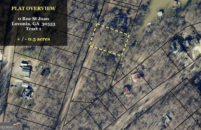 0 Rue St Joan Lavonia, GA 30553 - Photo 16 of 18