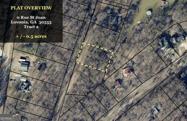 0 Rue St Joan Lavonia, GA 30553 - Photo 17 of 18
