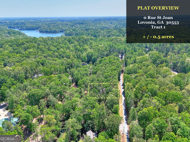 0 Rue St Joan Lavonia, GA 30553 - Photo 2 of 18