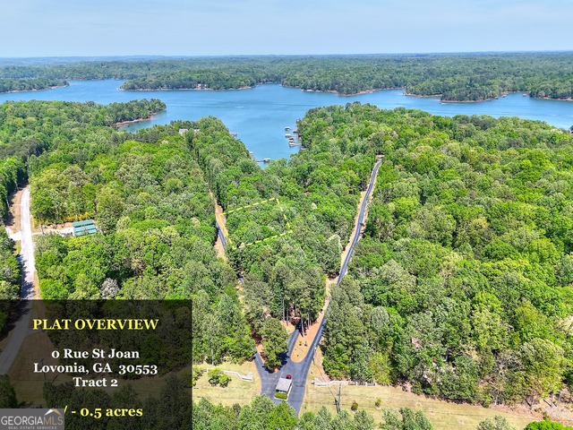 0 Rue St Joan Lavonia, GA 30553 - Photo 5 of 18
