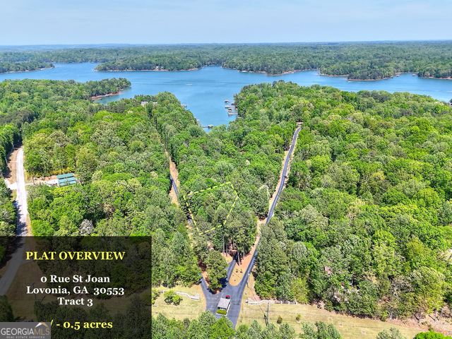 0 Rue St Joan Lavonia, GA 30553 - Photo 8 of 18