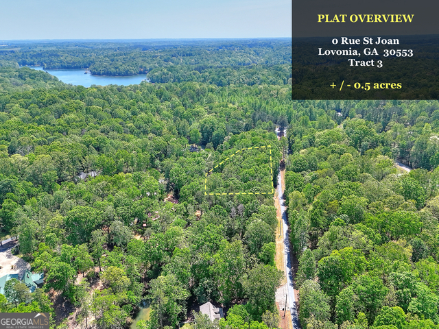 0 Rue St Joan Lavonia, GA 30553 - Photo 9 of 18