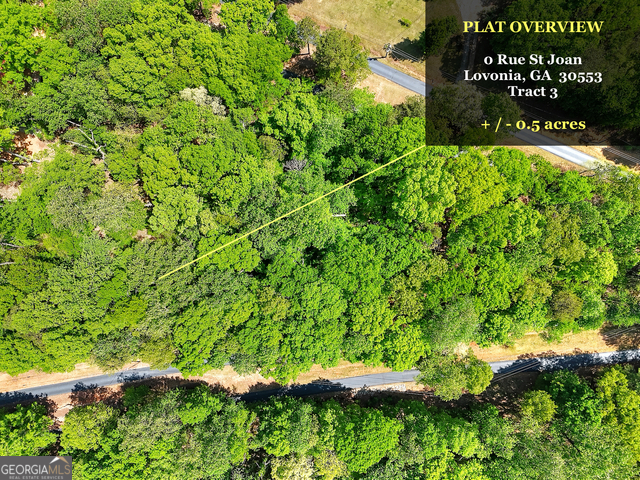 0 Rue St Joan Lavonia, GA 30553 - Photo 10 of 18