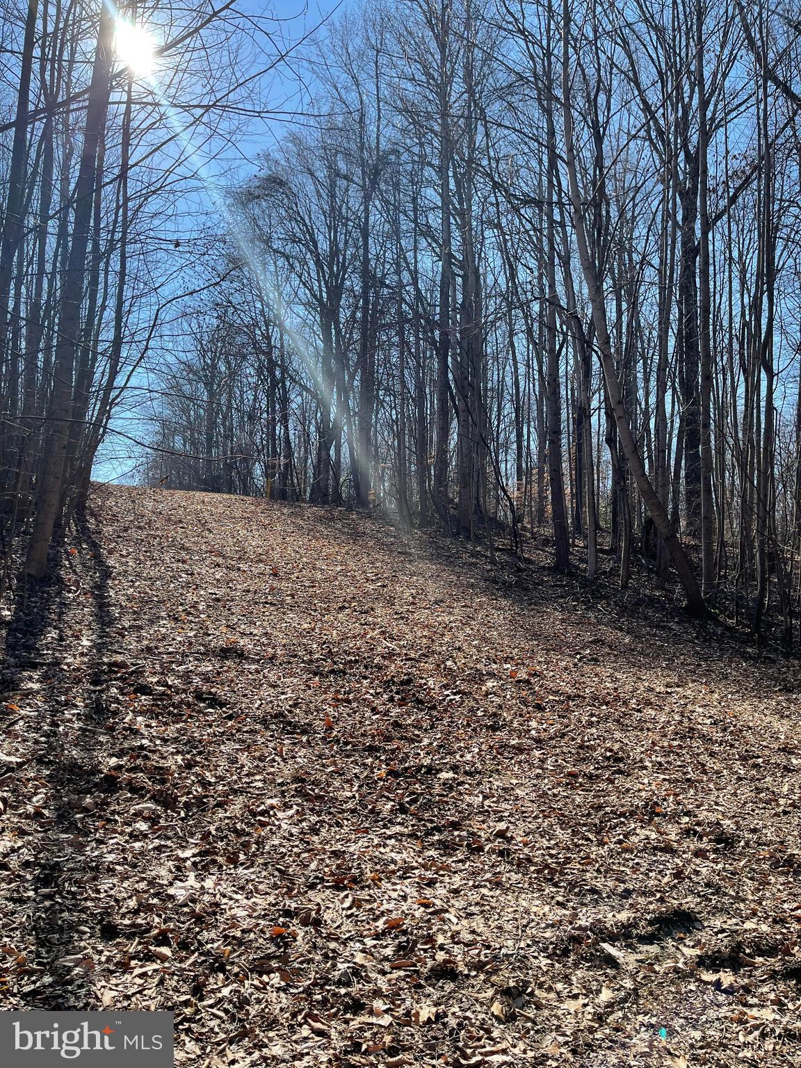 12401 Lusbys Lane Brandywine, MD 20613 - Photo 2 of 7