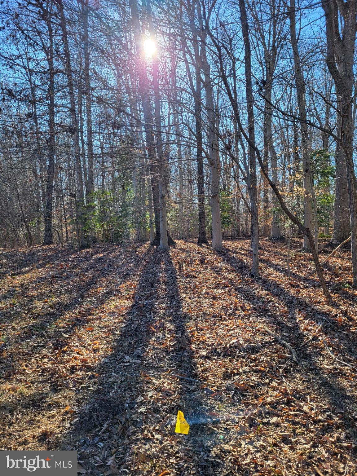 12401 Lusbys Lane Brandywine, MD 20613 - Photo 4 of 7