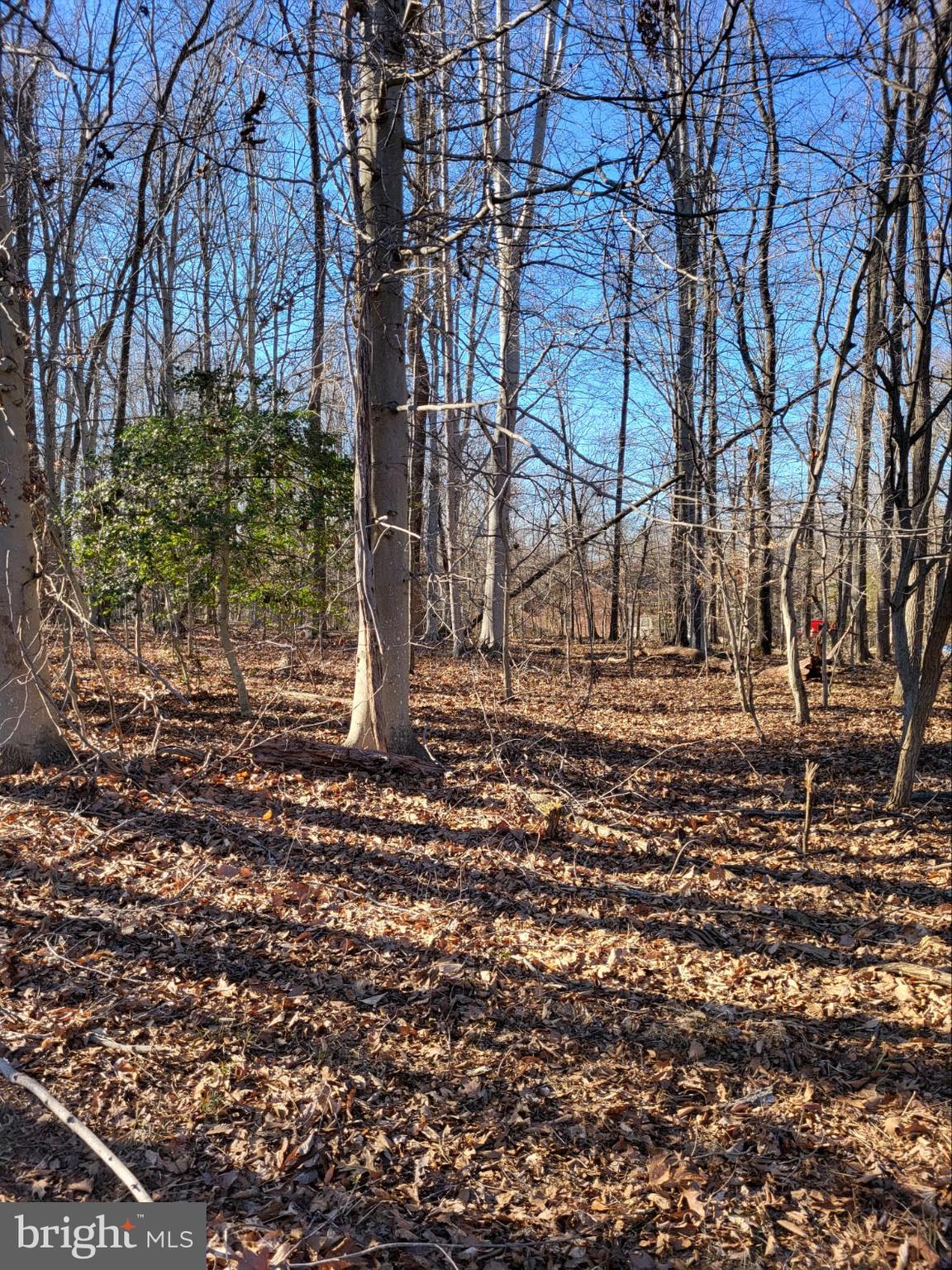 12401 Lusbys Lane Brandywine, MD 20613 - Photo 5 of 7