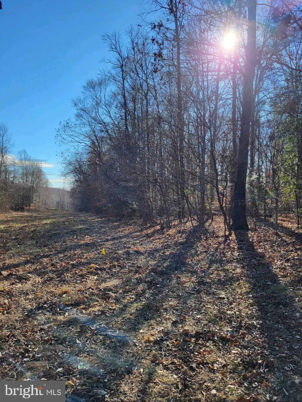 12401 Lusbys Lane Brandywine, MD 20613 - Photo 6 of 7