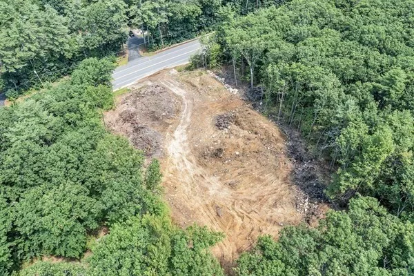 a view of a yard with plants and large trees