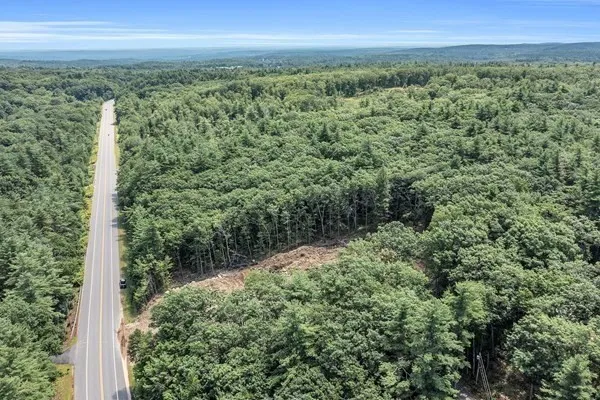 a view of a city with lush green forest