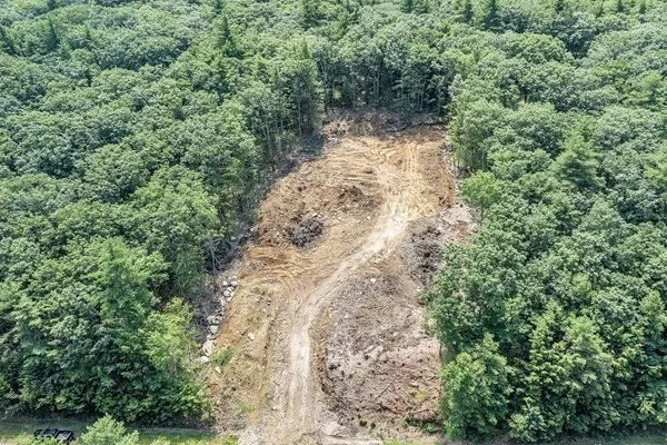 a view of a yard with plants and trees