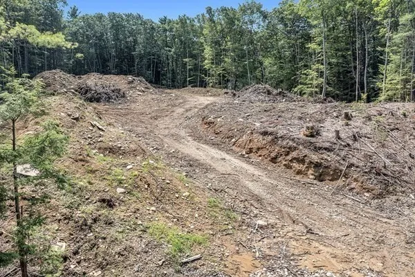 a view of a yard with a tree