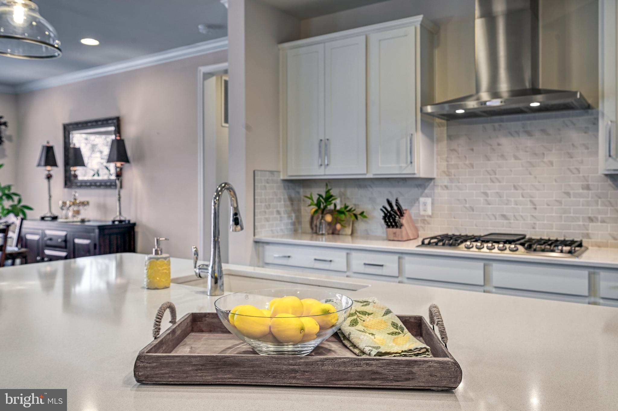 287 Sunset Loop Mineral, VA 23117 - Photo 37 of 109 Stunning Kitchen Island