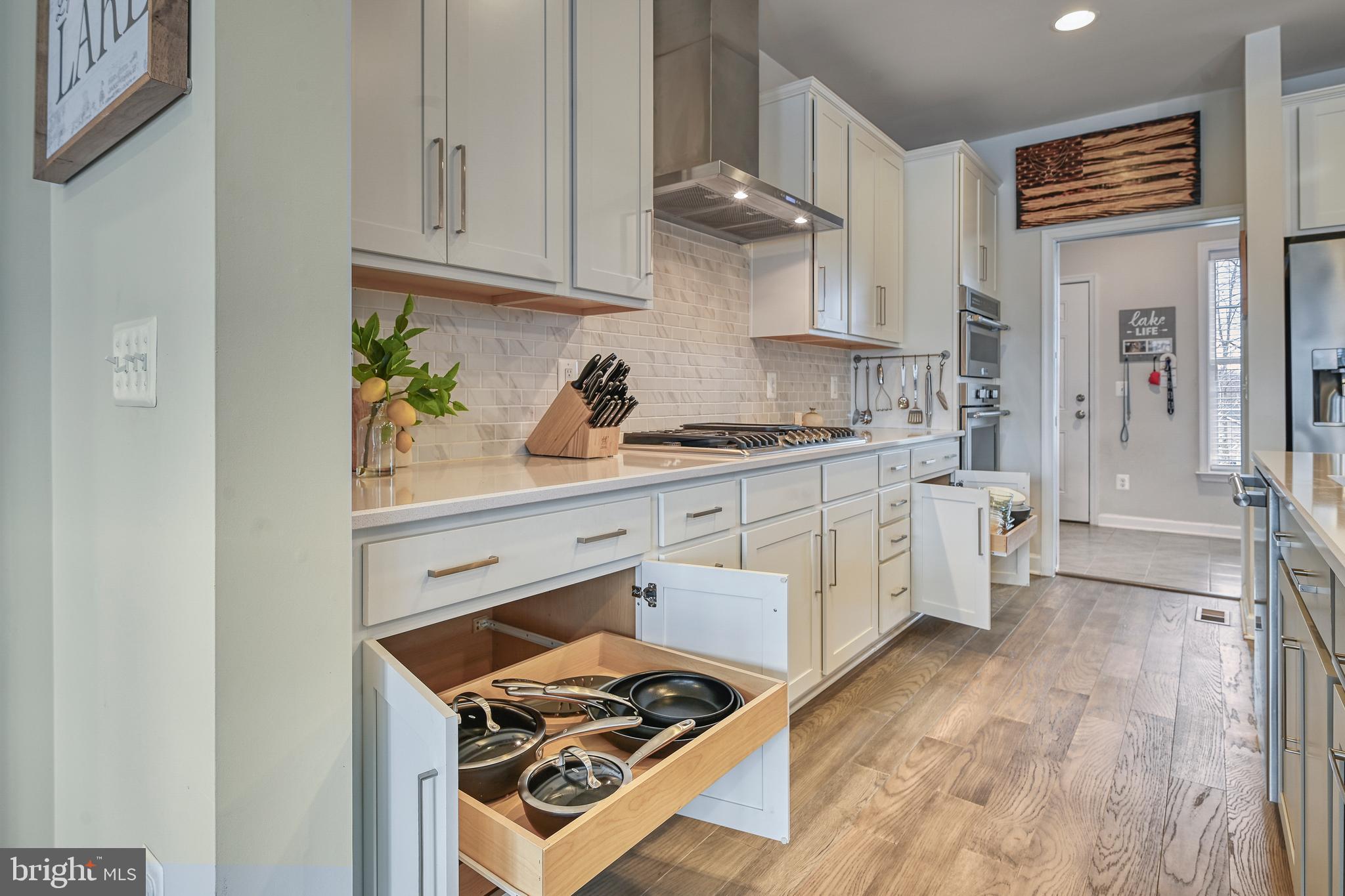 287 Sunset Loop Mineral, VA 23117 - Photo 40 of 109 Kitchen Cabinets with Pull-Out Shelves