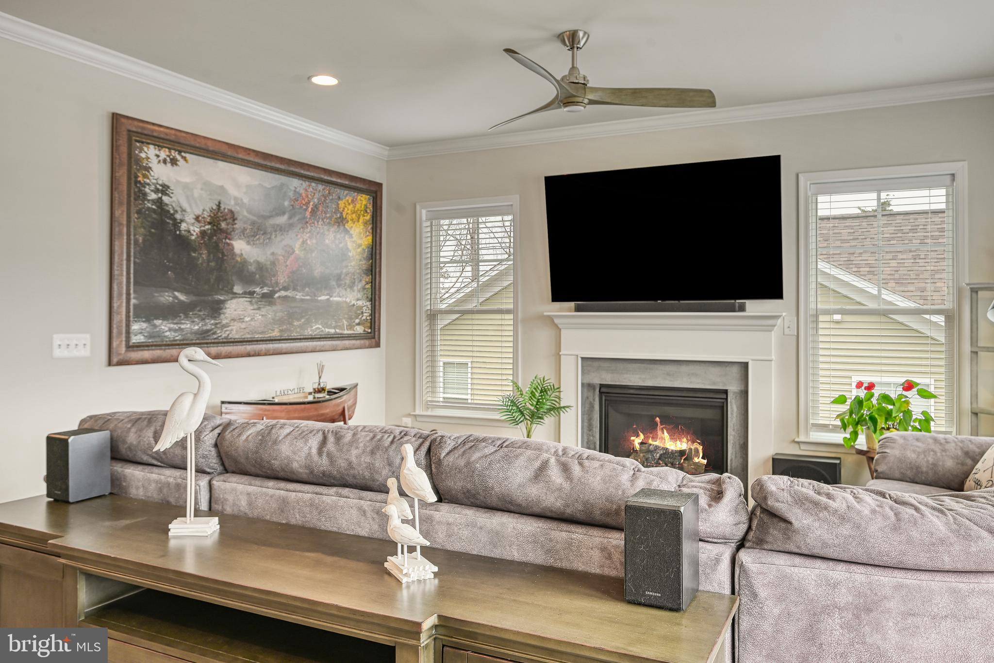 287 Sunset Loop Mineral, VA 23117 - Photo 49 of 109 Inviting Family Room with Gas Fireplace!