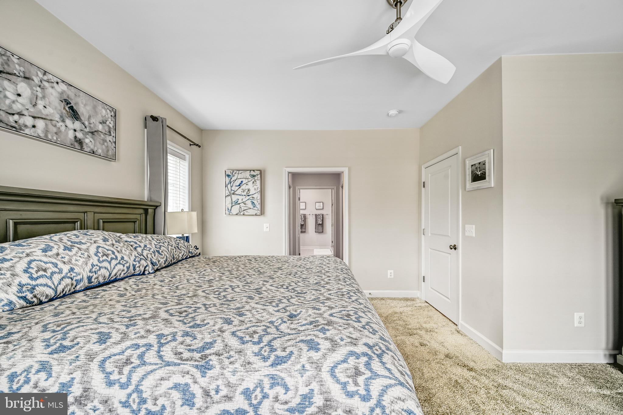 287 Sunset Loop Mineral, VA 23117 - Photo 58 of 109 Primary Bedroom