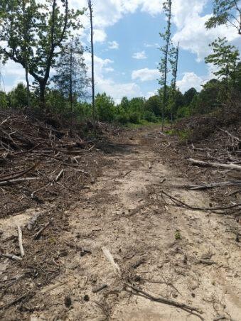 92 11 Foot Road Carbon Hill, AL 35549 - Photo 18 of 23 Gallery Image 18