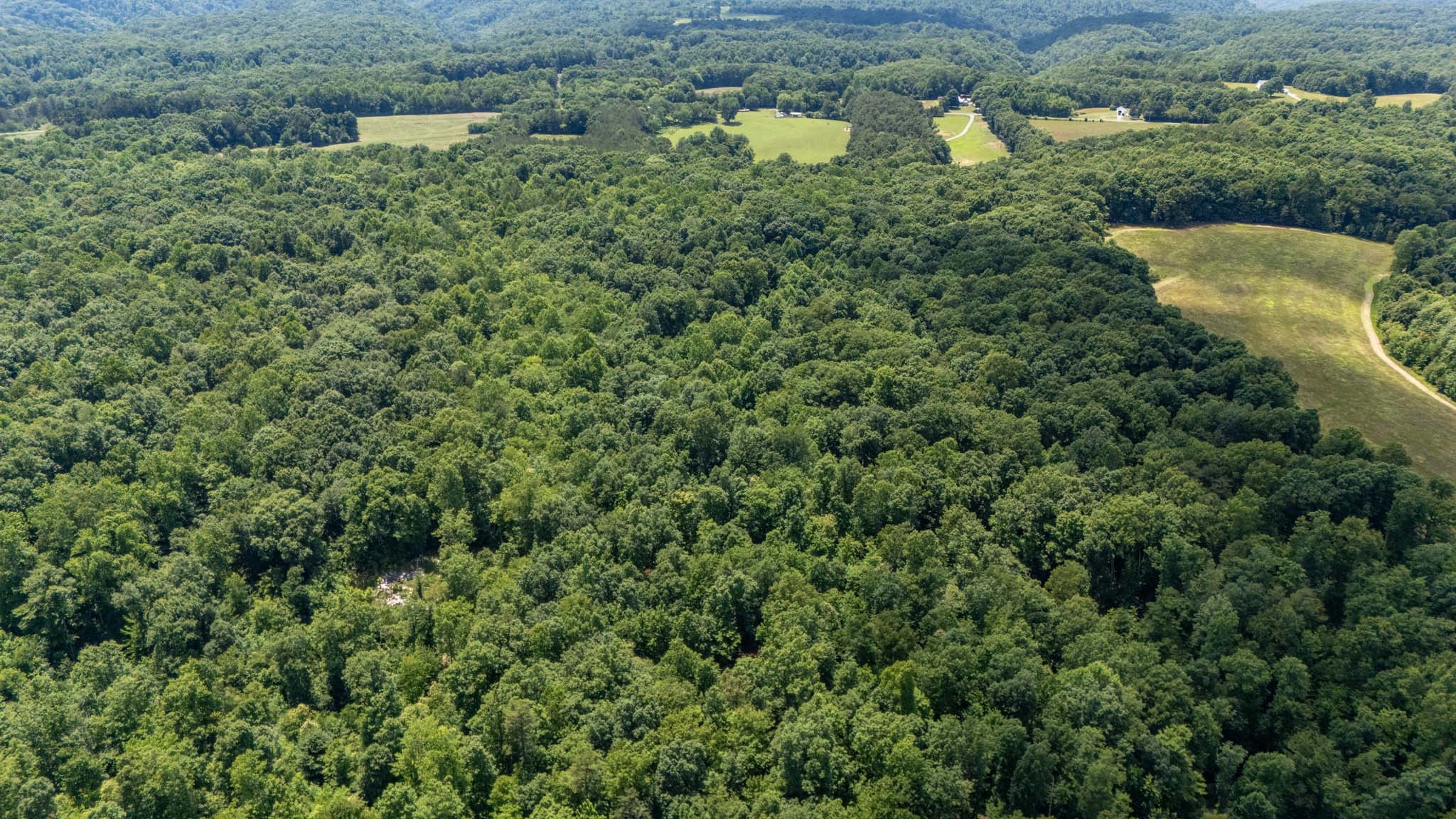 3772 Pea Ridge Road Liberty, TN 37095 - Photo 47 of 52