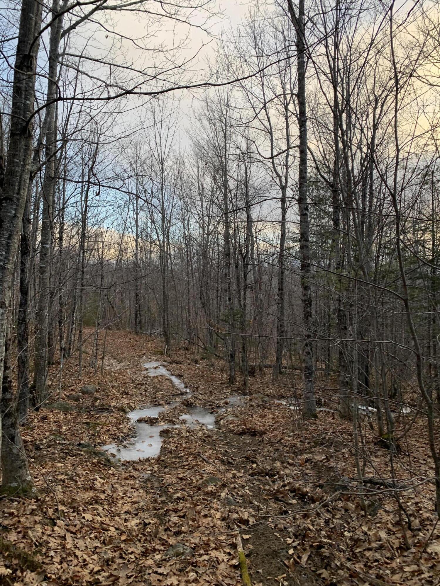 Lot 3 Mooseley Ridge Road Phillips, ME 04966 - Photo 18 of 20 Through the Woods
