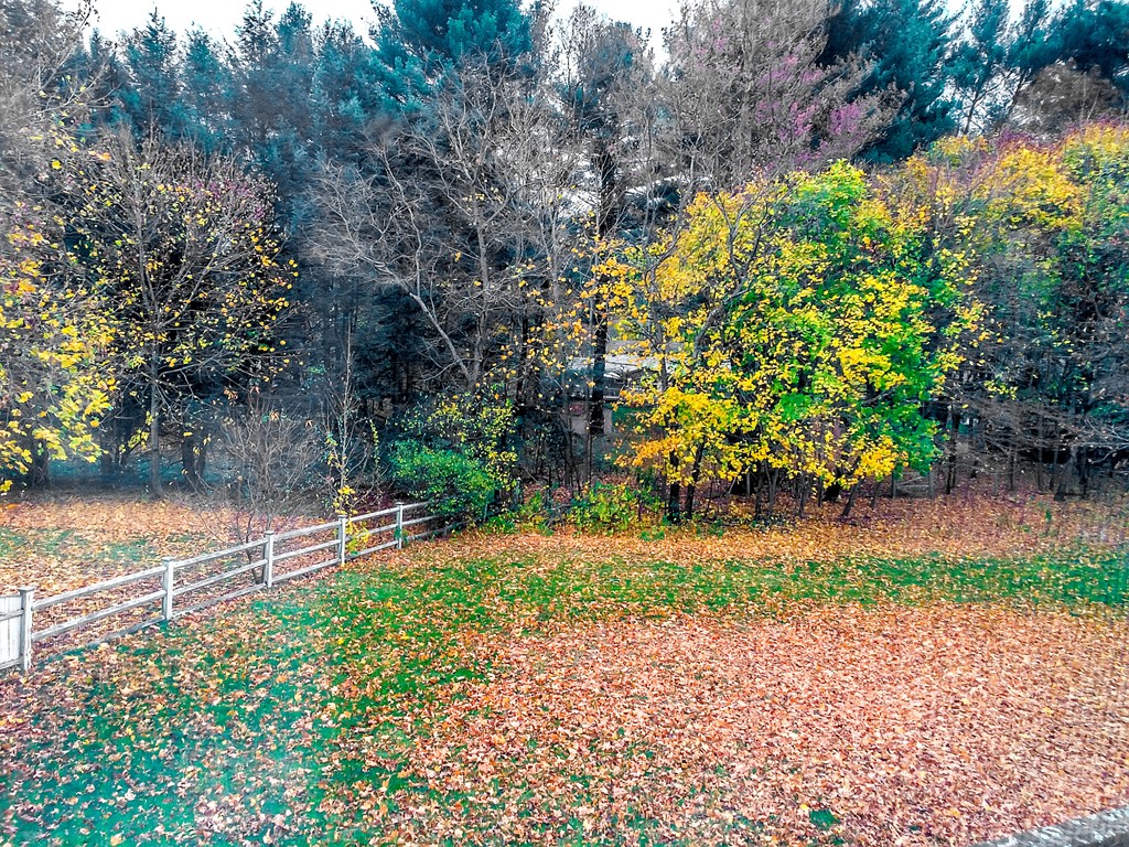 8 Bald Rock Road Wayland, MA 01778 - Photo 29 of 30 Gallery Image 29