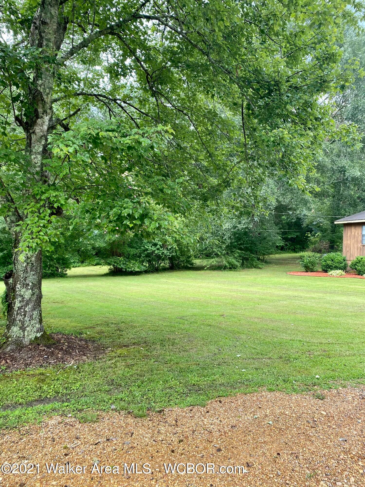 52 Doc King Road Nauvoo, AL 35578 - Photo 2 of 22 Gallery Image 2