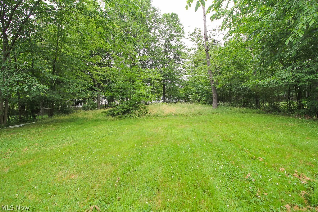 2571 Greenvale Road Cleveland, OH 44121 - Photo 28 of 29 Gallery Image 28
